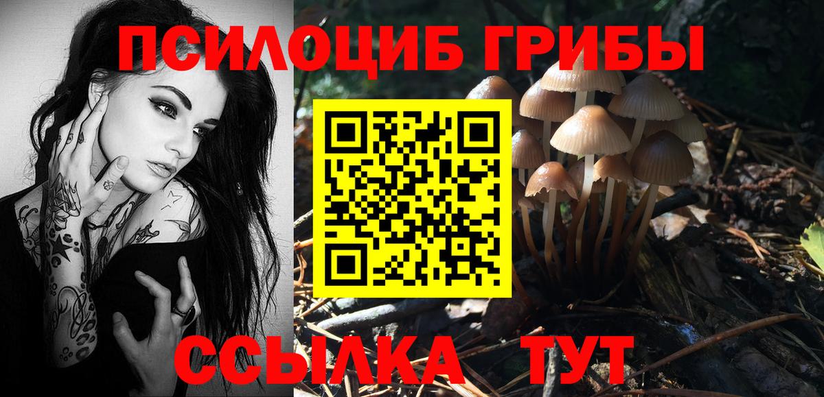 Псилоцибиновые грибы MAGIC MUSHROOMS  Вход с VPN  Галлюциногенные грибы Psilocybine cubensis  купить закладку  Красноуфимск 